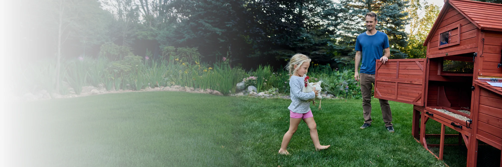 Safety for Your Backyard Flock