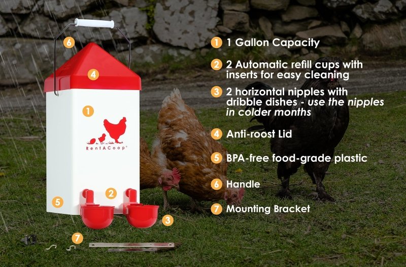 1 Gallon Chicken Waterer with 2 Auto-Fill Cups, Horizontal Nipples and Anti-Roost Cone - Image 5