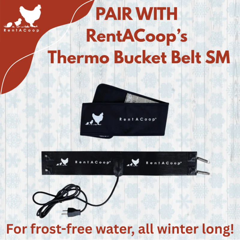 1 Gallon Chicken Waterer with 2 Auto-Fill Cups, Horizontal Nipples and Anti-Roost Cone - Image 7