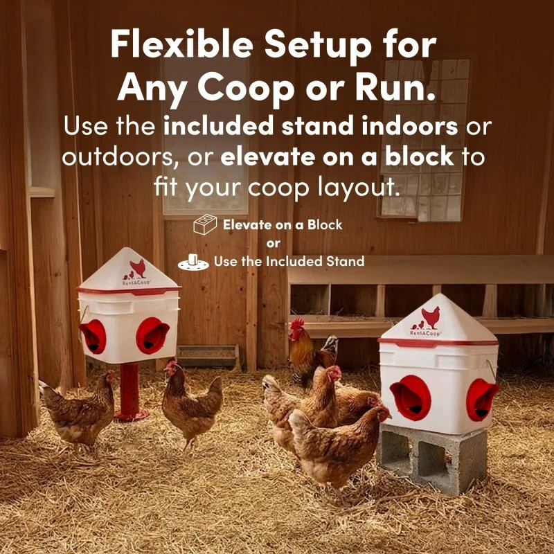 RentACoop 10lb Chick2Chicken 4-Port Chicken Feeder - Image 3