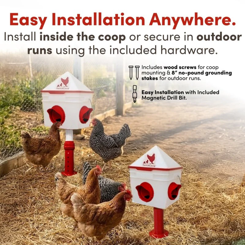 RentACoop 10lb Chick2Chicken 4-Port Chicken Feeder - Image 4