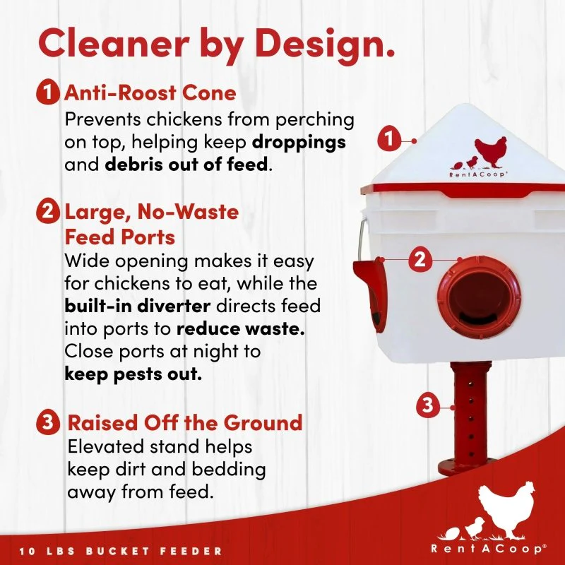 RentACoop 10lb Chick2Chicken 4-Port Chicken Feeder - Image 8