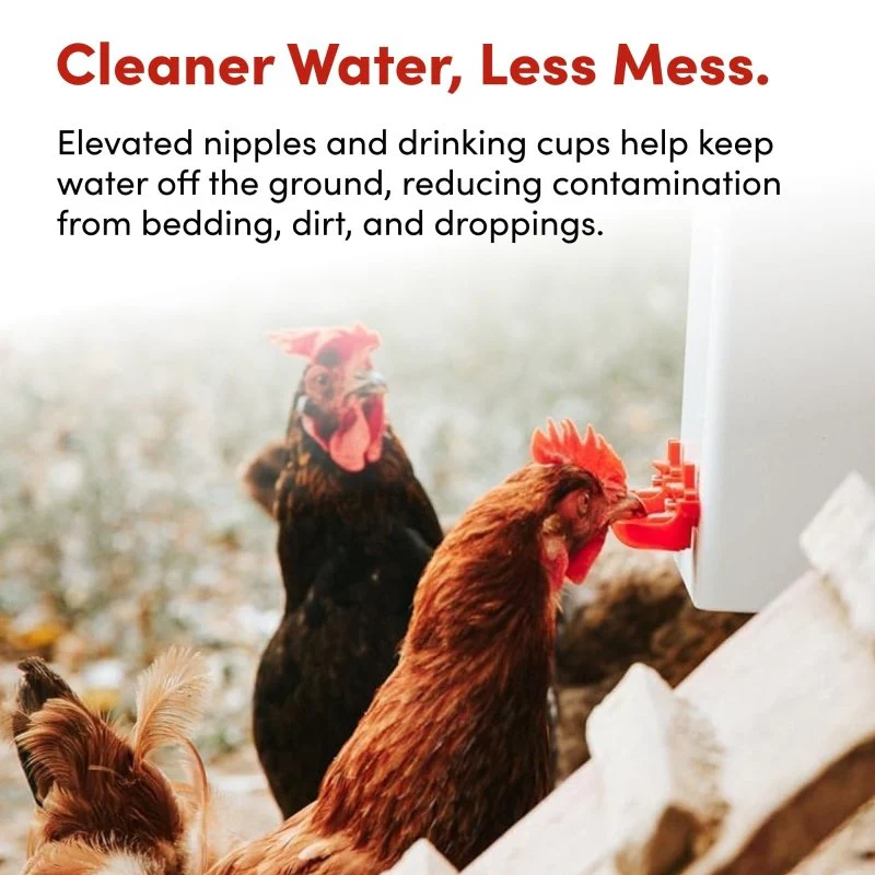 RentACoop 2 Gal Highrise Chicken Waterer with Auto-Fill Cups and Horizontal Nipples - Image 3