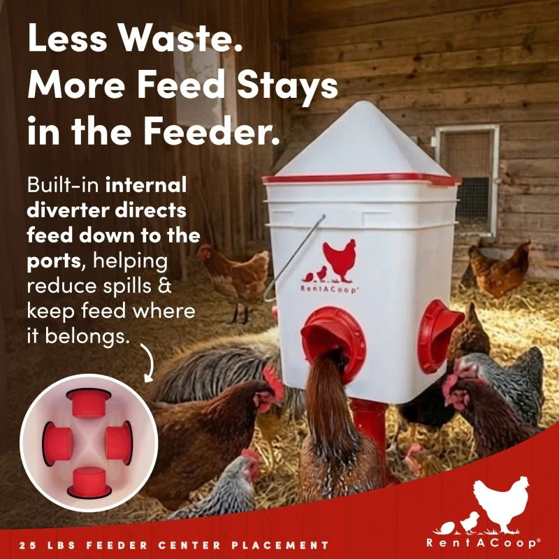 RentACoop 25lb BPA-Free Chicken Feeder with 4 Large Ports and Adjustable Stand - Center Placement - Image 8