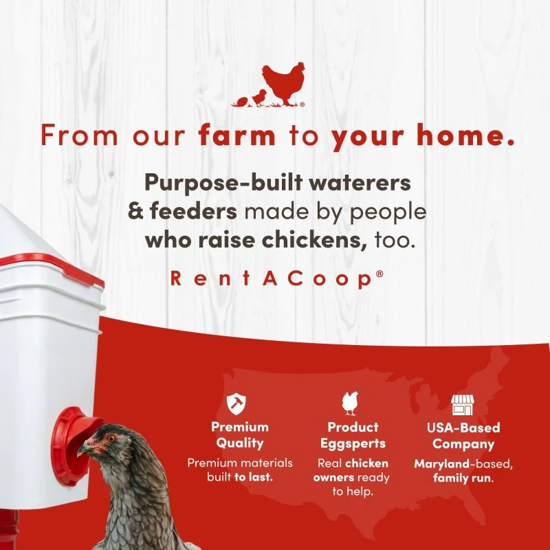 RentACoop 25lb BPA-Free Chicken Feeder with 4 Large Ports and Adjustable Stand - Center Placement - Image 9