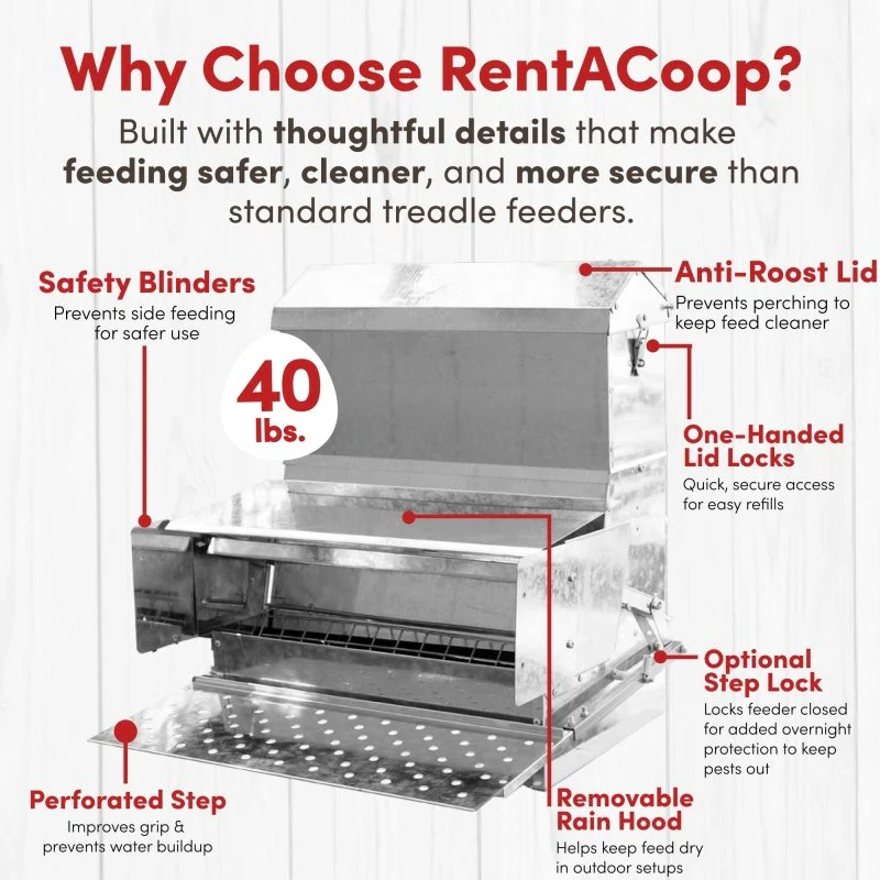 RentACoop 40 lb Automatic Treadle Chicken Feeder - Image 2