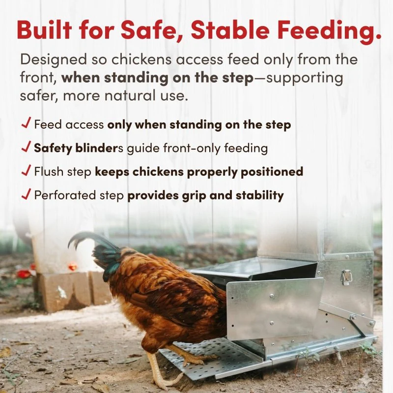 RentACoop 40 lb Automatic Treadle Chicken Feeder - Image 4