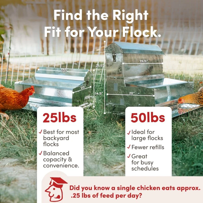 RentACoop 40 lb Automatic Treadle Chicken Feeder - Image 9