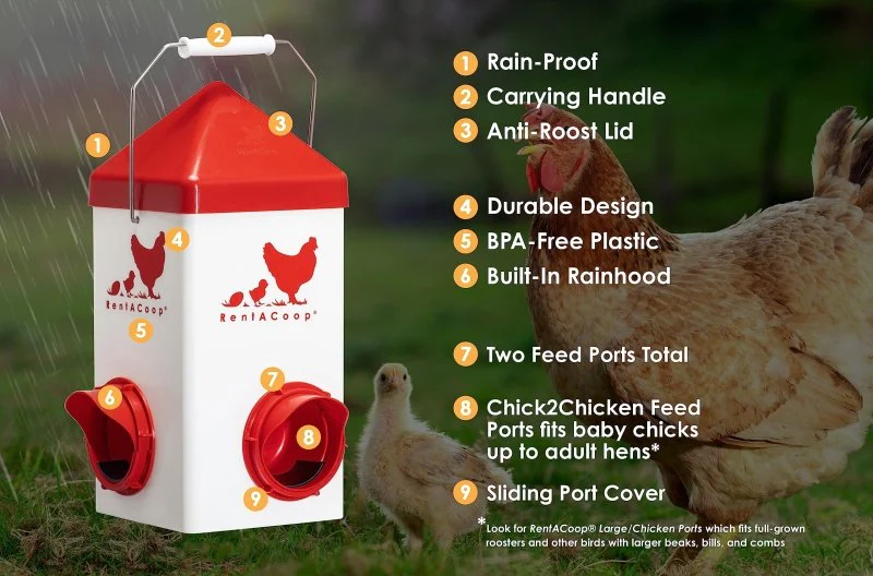 5lb Chick2Chicken BPA-Free 2-Port Chicken Feeder - Image 3