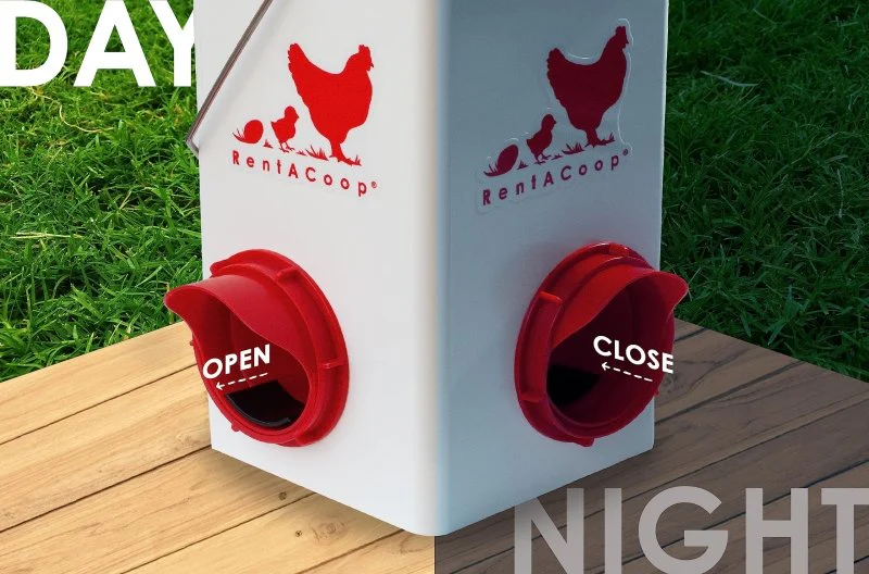 5lb Chick2Chicken BPA-Free 2-Port Chicken Feeder - Image 4