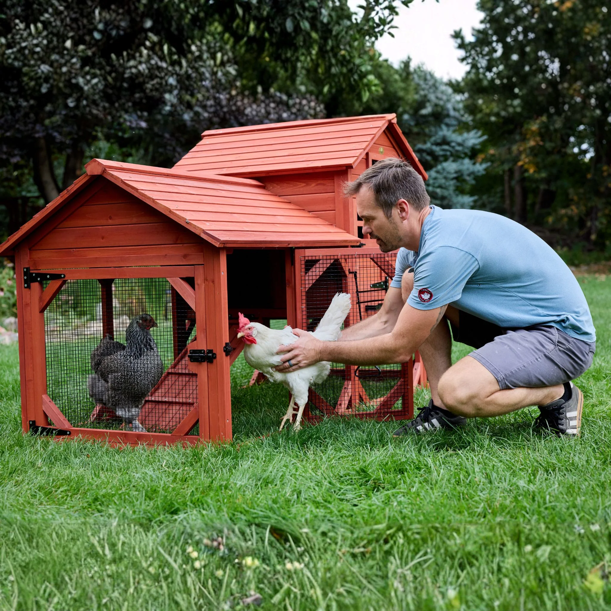 BUNDLE: Leghorn Chicken Coop + Run Extension + Run Roof - Image 10