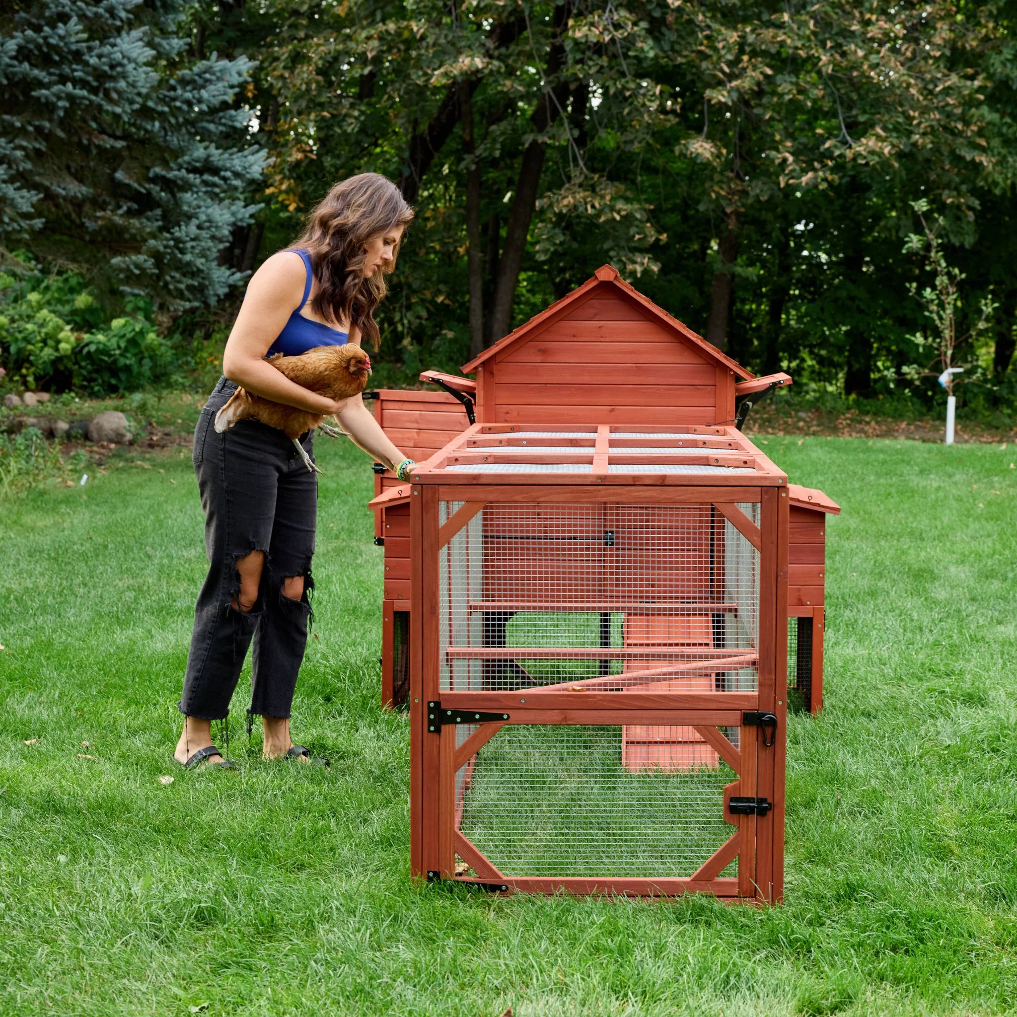 BUNDLE: Orpington Lodge Chicken Coop + Run Extension + Run Roof - Image 10