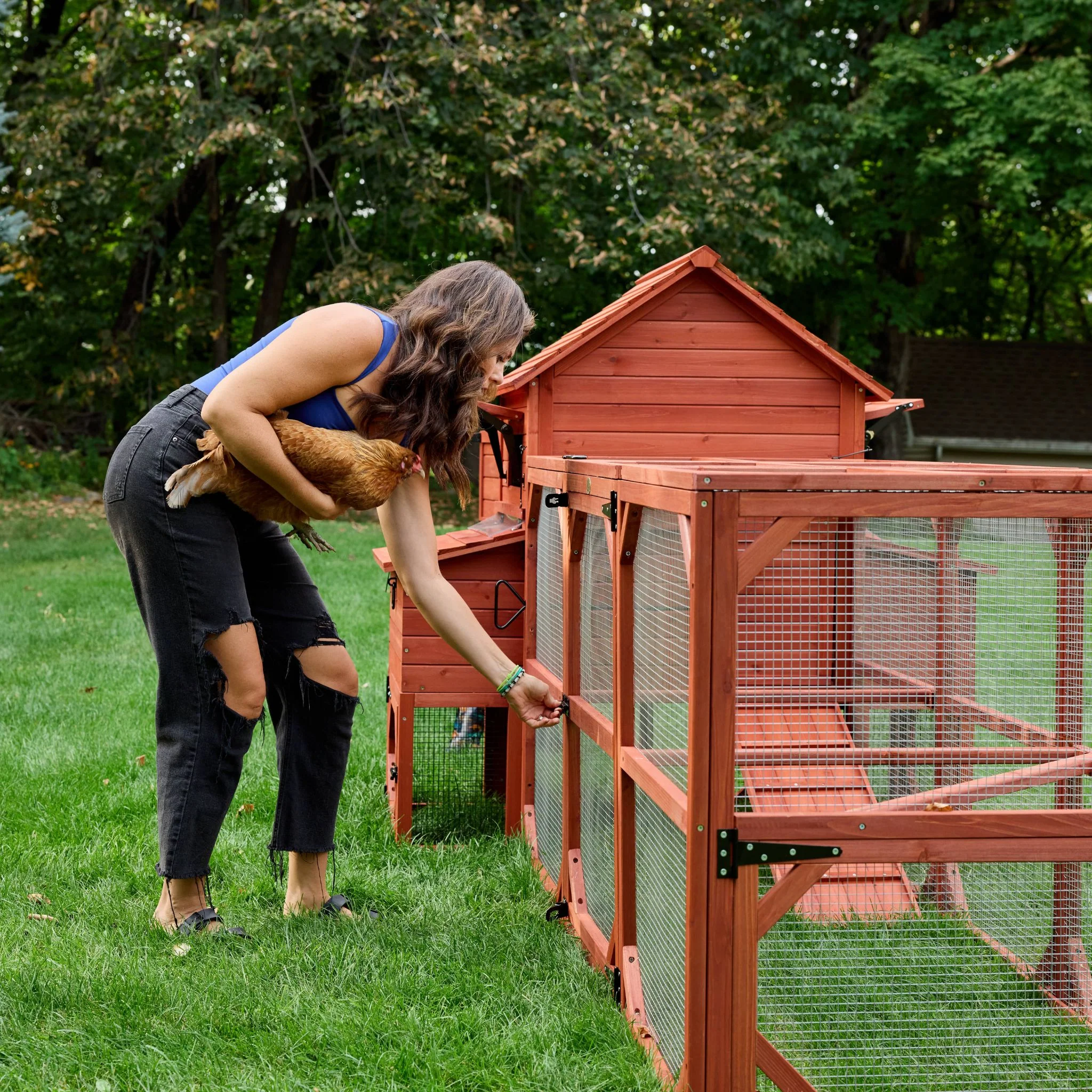 BUNDLE: Orpington Lodge Chicken Coop + Run Extension + Run Roof - Image 9