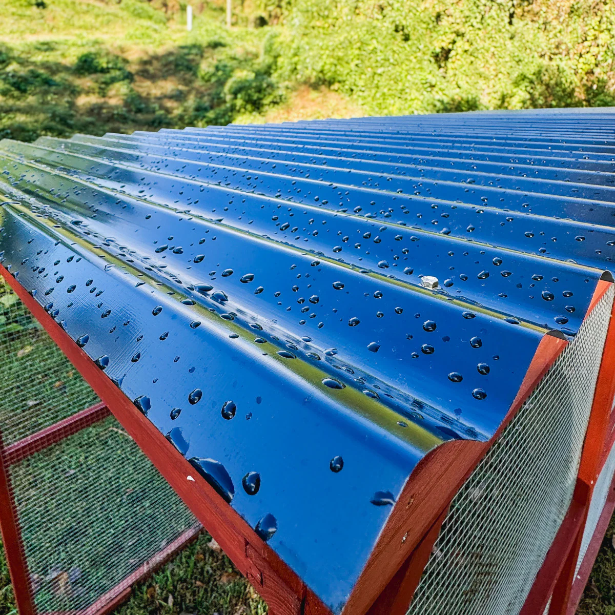 BUNDLE: Rhode Island Chicken Coop + Run Extension + Run Roof - Image 17