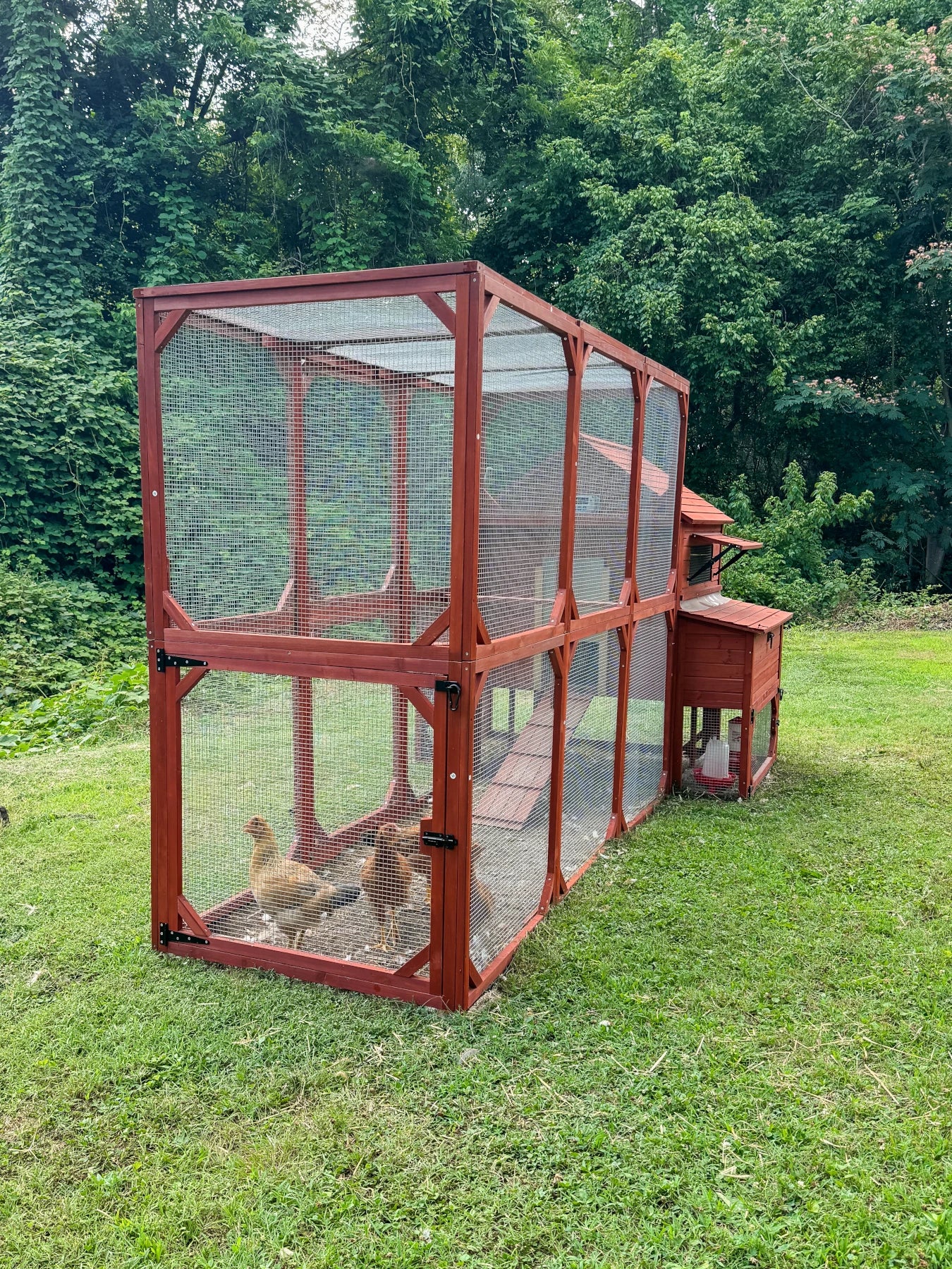 BUNDLE: Rhode Island Chicken Coop + Run Extension + Run Roof - Image 5