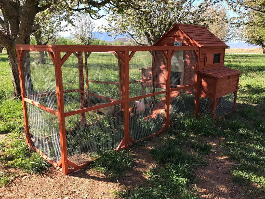 Automatic Chicken Coop Door Opener - PRO DOOR KIT - Image 2