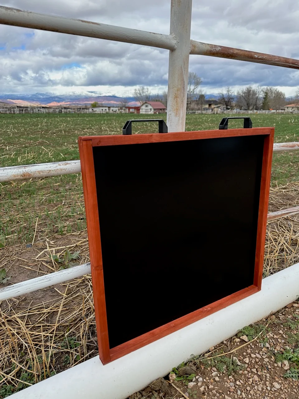 Coop Catch/Poop Tray - Image 4