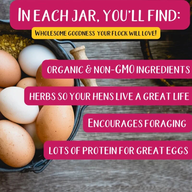 Egg-Cellent Yolks: For Healthy, Golden Yolks - Naturally! - Image 3