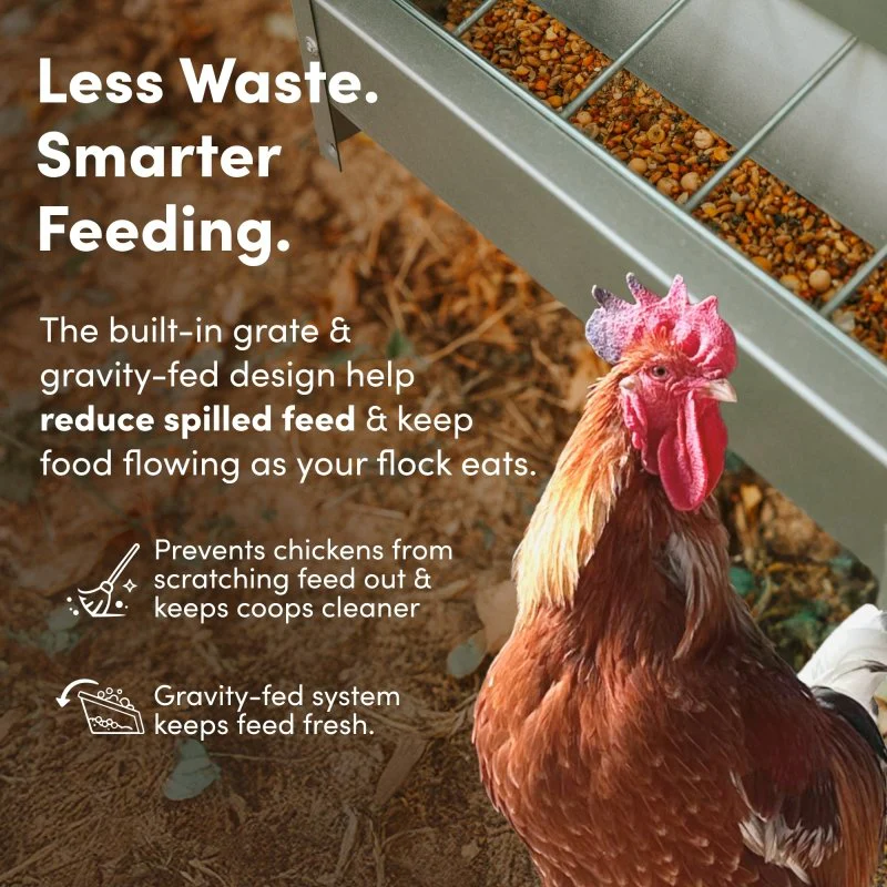 Galvanized Chicken Tough Feeder, Weatherproof Poultry Food Dispenser with Lid - 50lb - Image 4