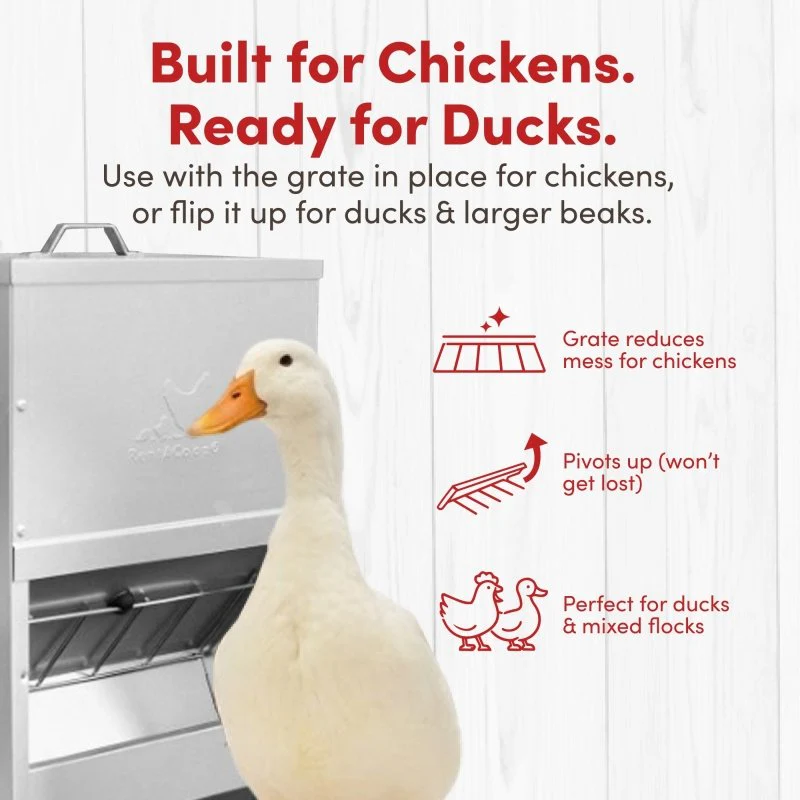 Galvanized Chicken Tough Feeder, Weatherproof Poultry Food Dispenser with Lid - 50lb - Image 5