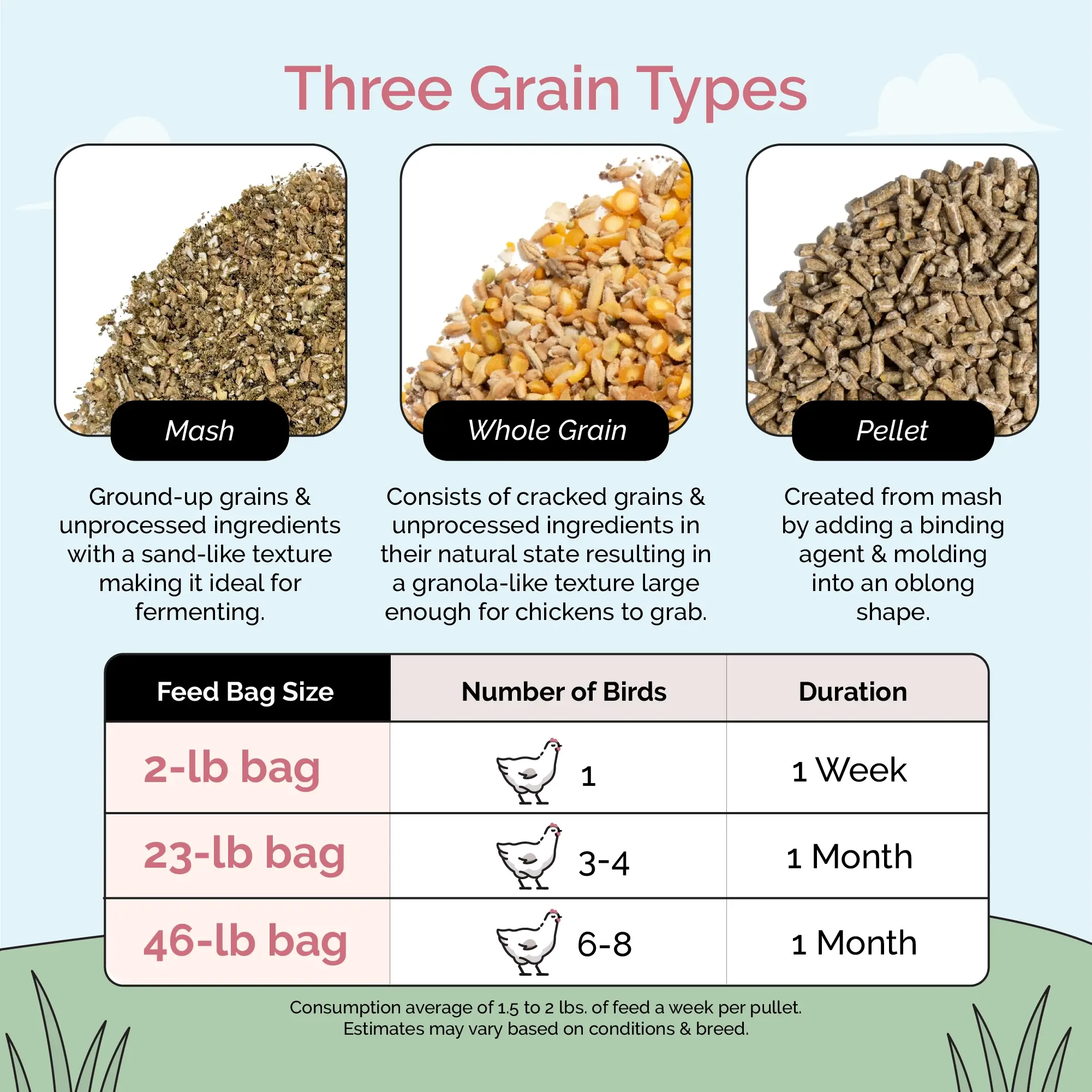 Grower Feed Kit | 12 Weeks of Organic Feed & Grit for 10 Pullets - Image 10