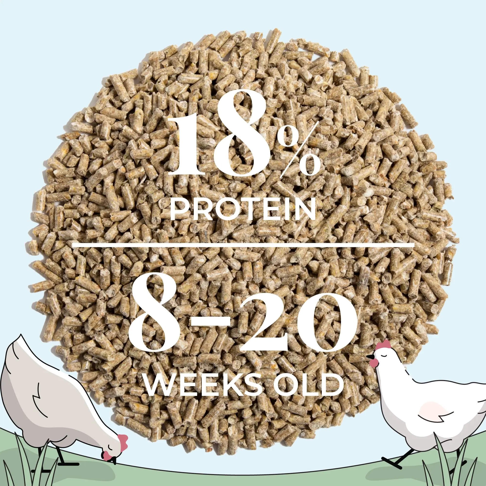 Grower Feed Kit | 12 Weeks of Organic Feed & Grit for 10 Pullets - Image 11