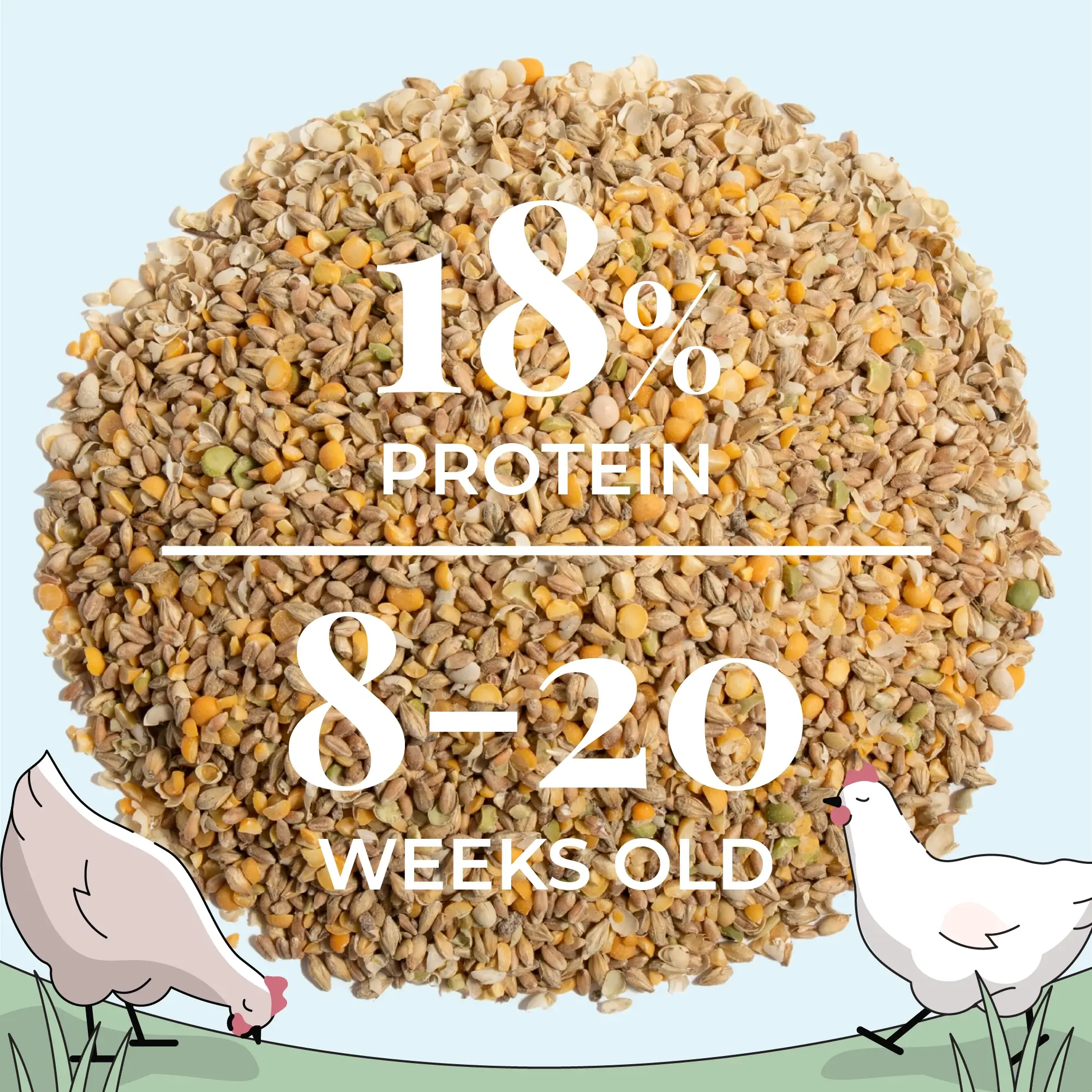 Grower Feed Kit | 12 Weeks of Organic Feed & Grit for 10 Pullets - Image 16