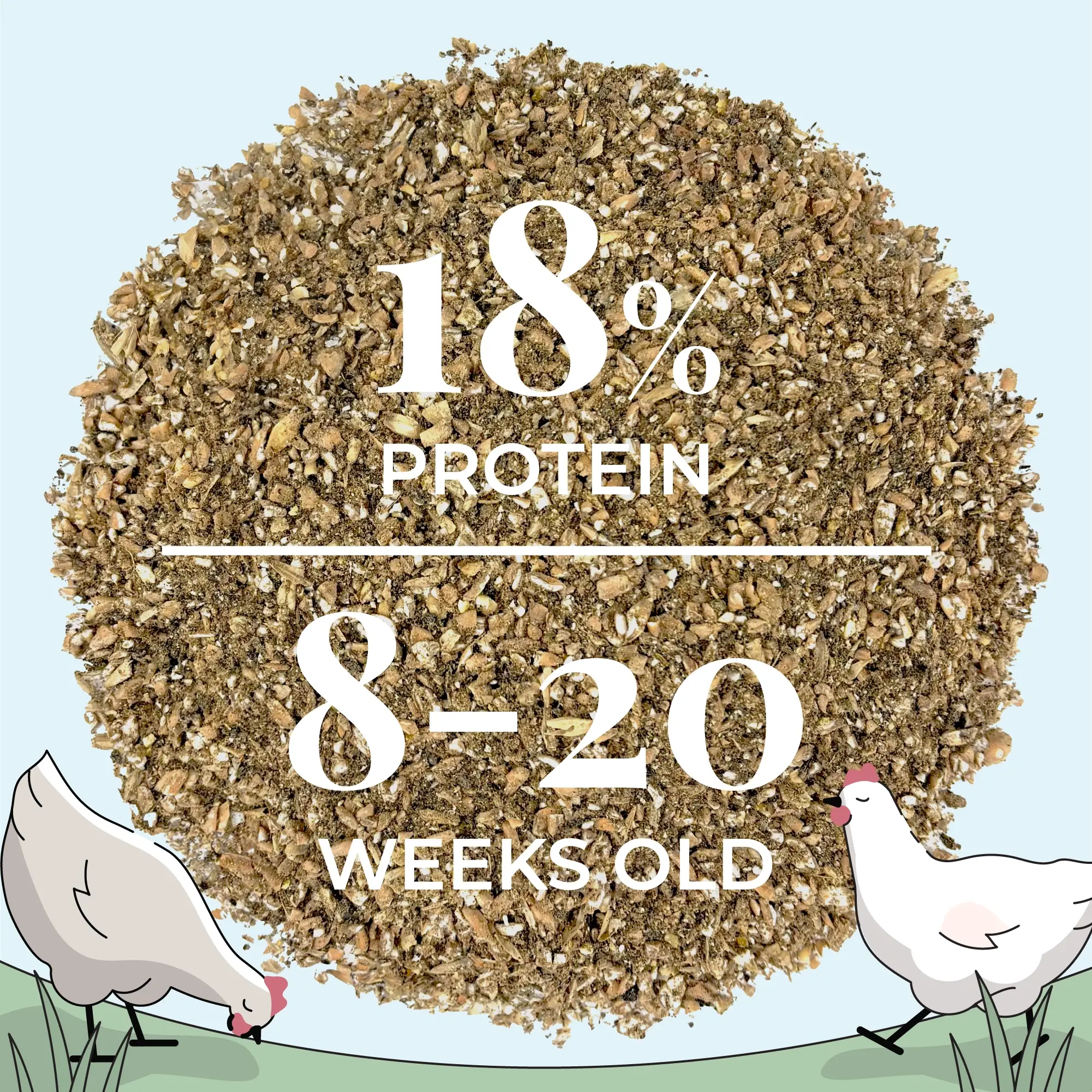 Grower Organic Chicken Feed - Image 8