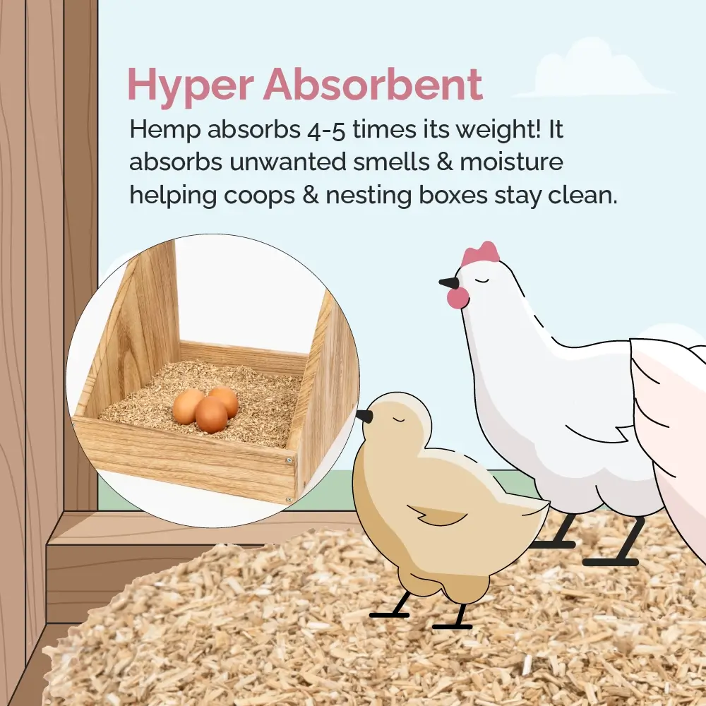 Hemp Bedding for Chicken Coops - Image 8