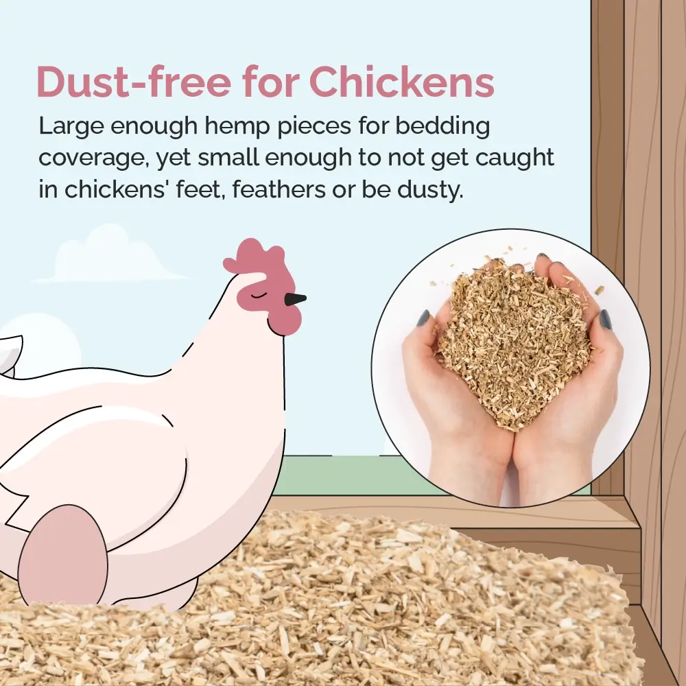 Hemp Bedding for Chicken Coops - Image 9