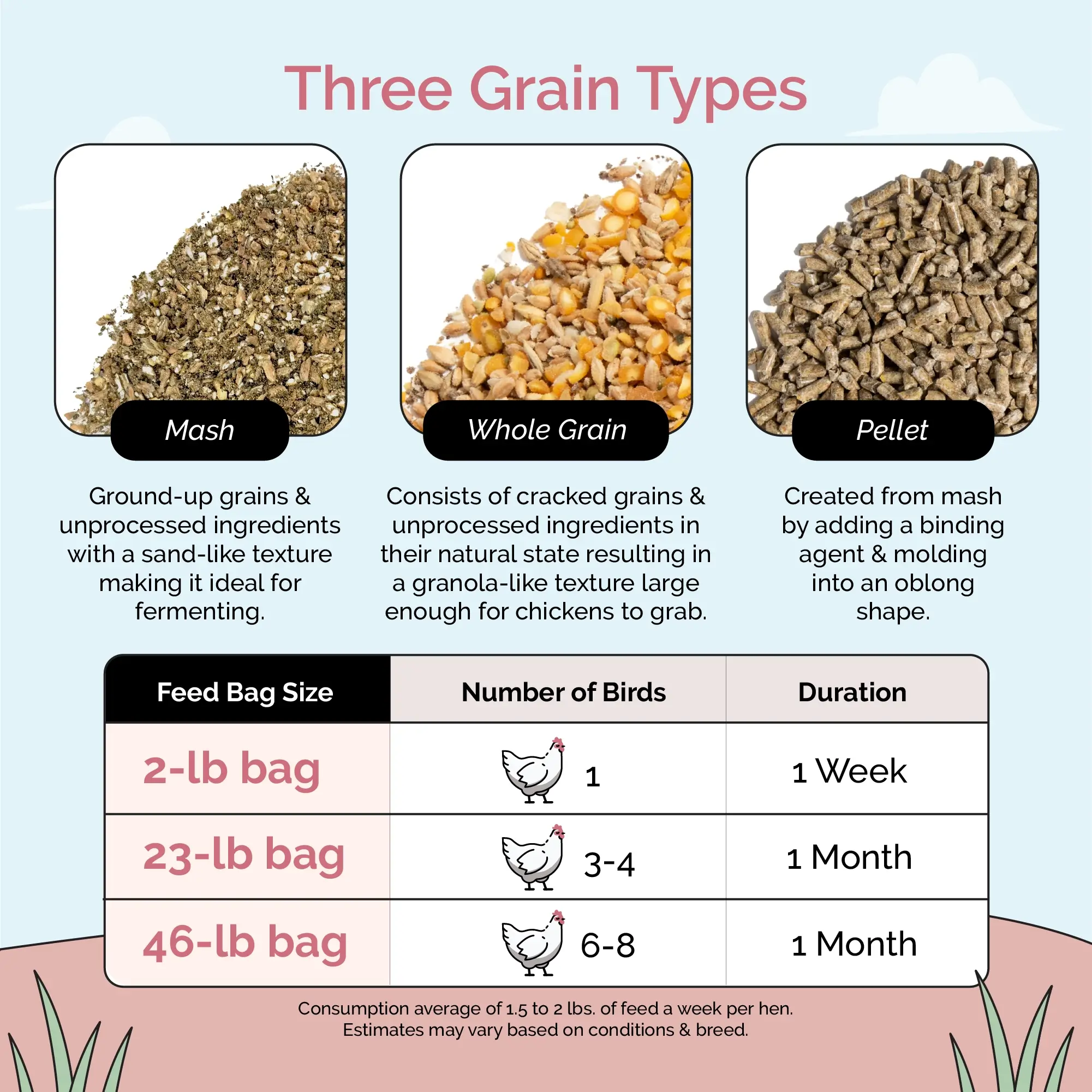 Layer Organic Chicken Feed - Image 14