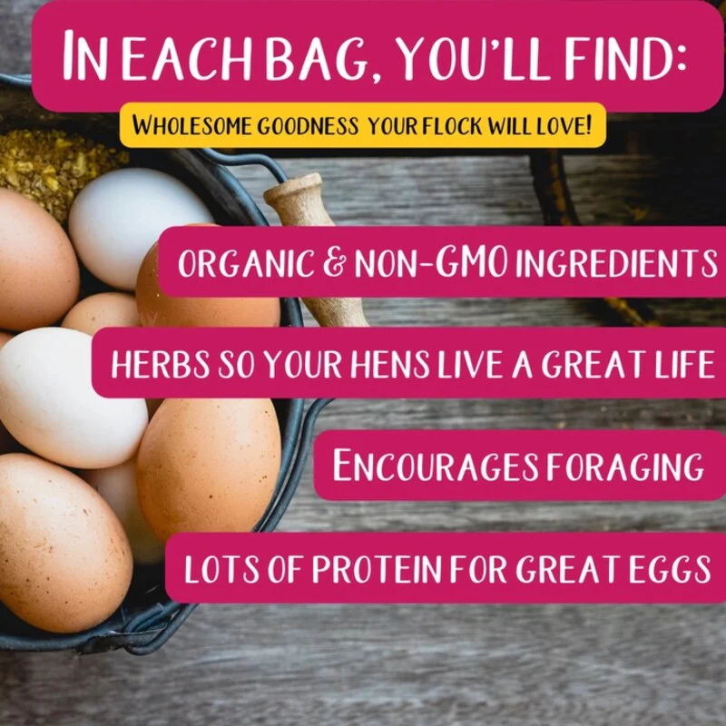 Poultry Queen Mealworm, Non - Gmo Corn, Non - Gmo Flax, & Herb Treat For Pet Chickens - Image 5