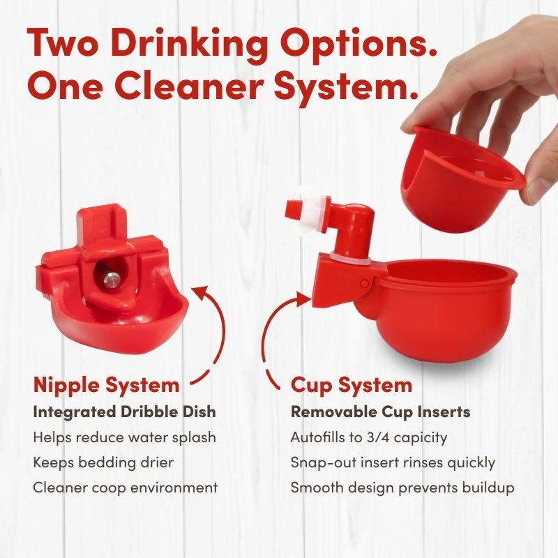 RentACoop 5 Gallon/ 6 Automatic-Fill Water Cup or Nipple Chicken Waterer with Adjustable Stand - Center Placement - Image 5