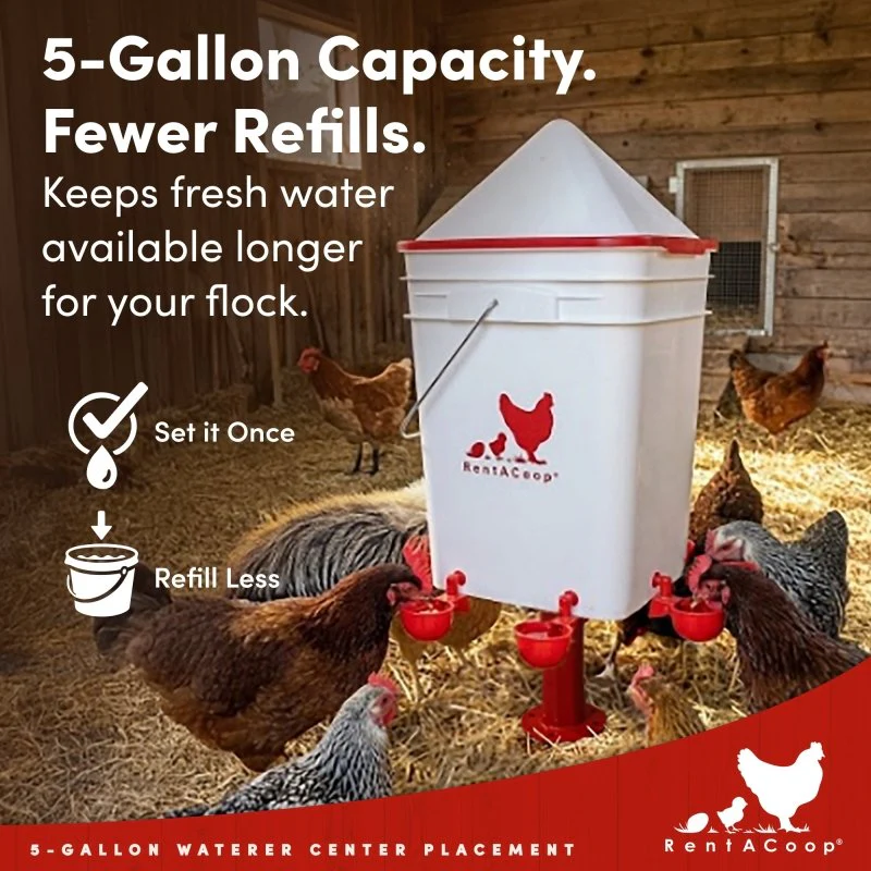 RentACoop 5 Gallon/ 6 Automatic-Fill Water Cup or Nipple Chicken Waterer with Adjustable Stand - Center Placement - Image 7