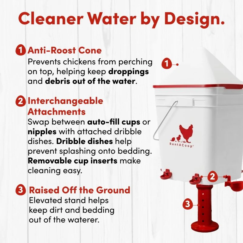 RentACoop 5 Gallon/ 6 Automatic-Fill Water Cup or Nipple Chicken Waterer with Adjustable Stand - Center Placement - Image 8