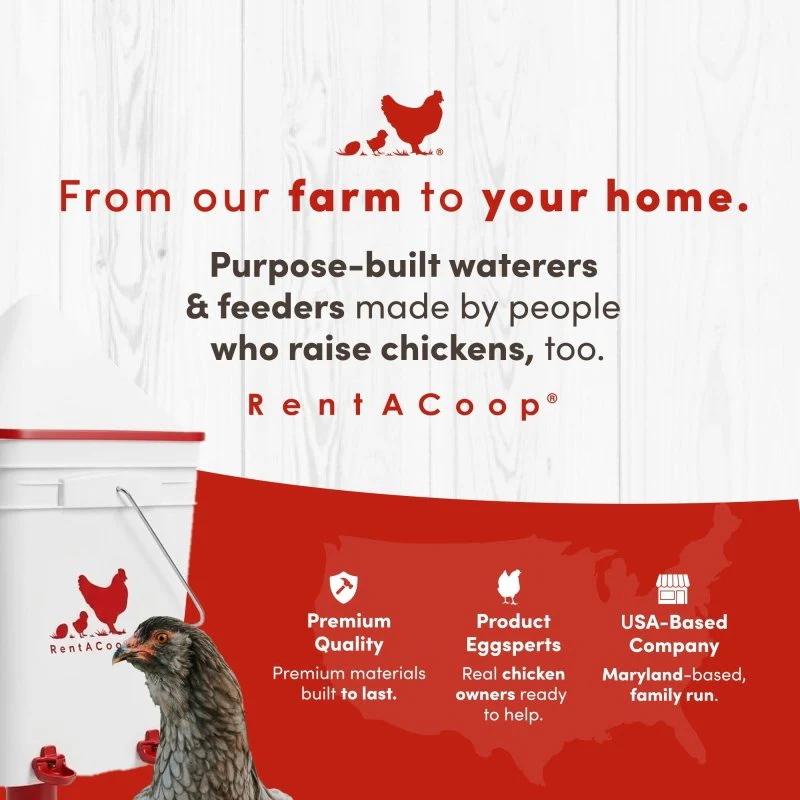 RentACoop 5 Gallon/ 6 Automatic-Fill Water Cup or Nipple Chicken Waterer with Adjustable Stand - Center Placement - Image 9
