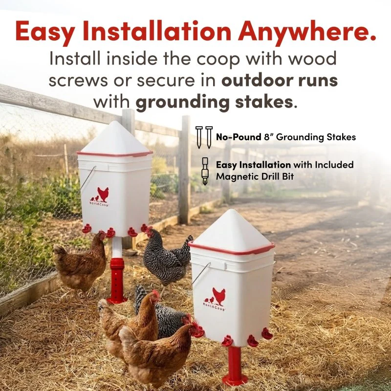 RentACoop 5 Gallon Chicken Waterer with 4 Auto-Fill Water Cups, 4 Horizontal nipples, and Adjustable Stand - Corner Placement - Image 5