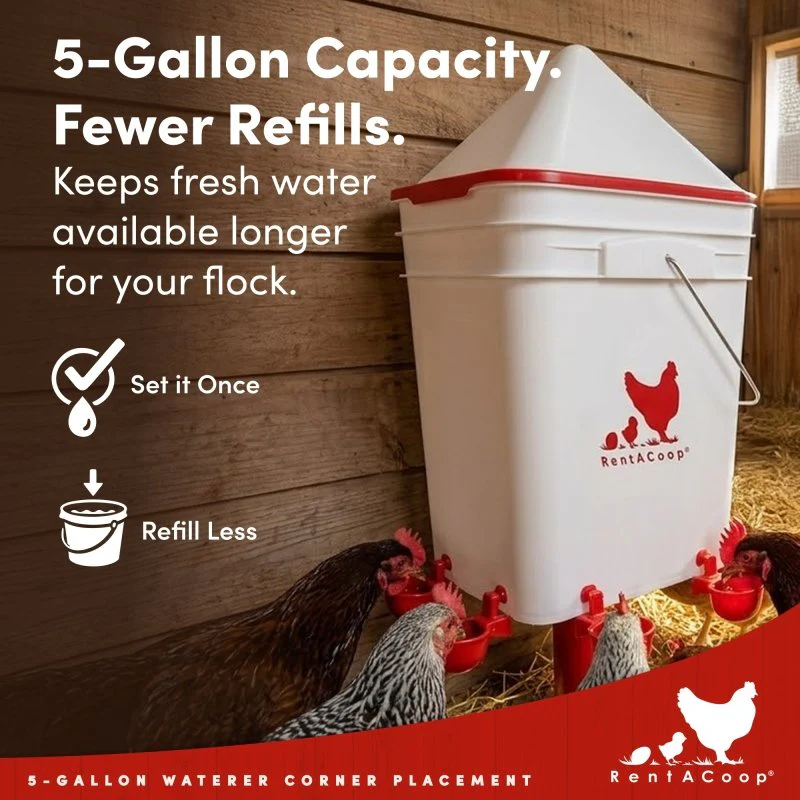 RentACoop 5 Gallon Chicken Waterer with 4 Auto-Fill Water Cups, 4 Horizontal nipples, and Adjustable Stand - Corner Placement - Image 7
