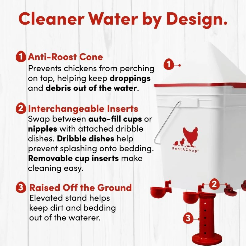 RentACoop 5 Gallon Chicken Waterer with 4 Auto-Fill Water Cups, 4 Horizontal nipples, and Adjustable Stand - Corner Placement - Image 8