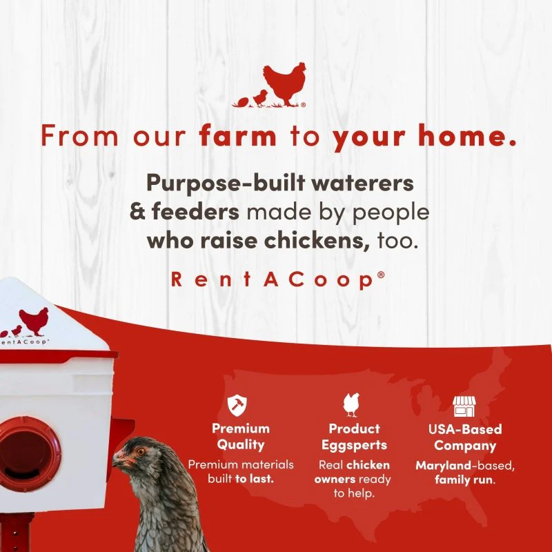 RentACoop Chick2Chicken 10lb Feeder & 2 Gal Waterer Set - Image 10