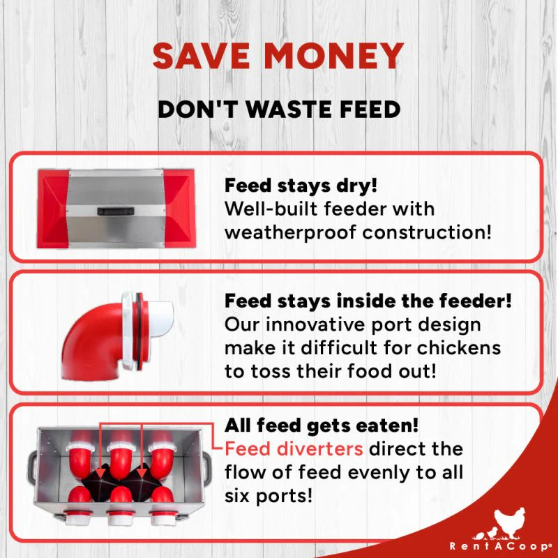 RentACoop Flock Feeder 65 6-Port Feeder - Image 3