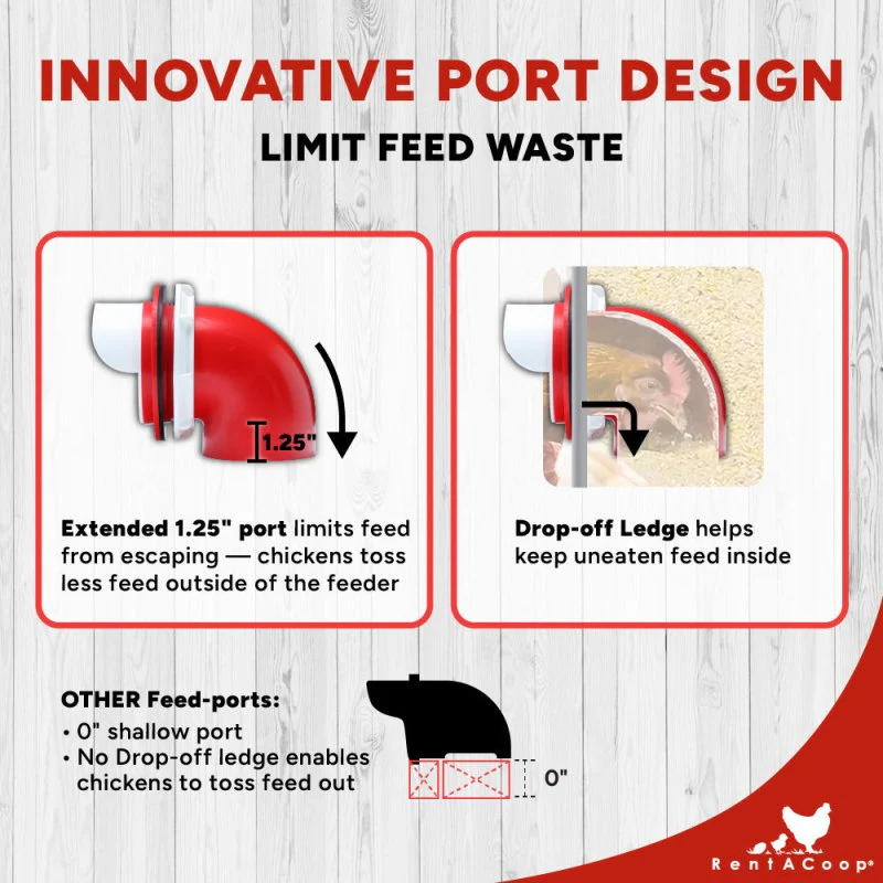 RentACoop Flock Feeder 65 6-Port Feeder - Image 5