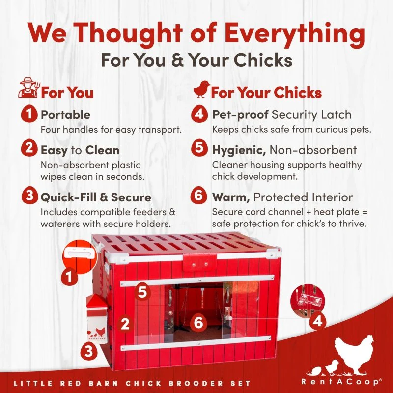 RentACoop Little Red Barn Chick Brooder Set - Image 3