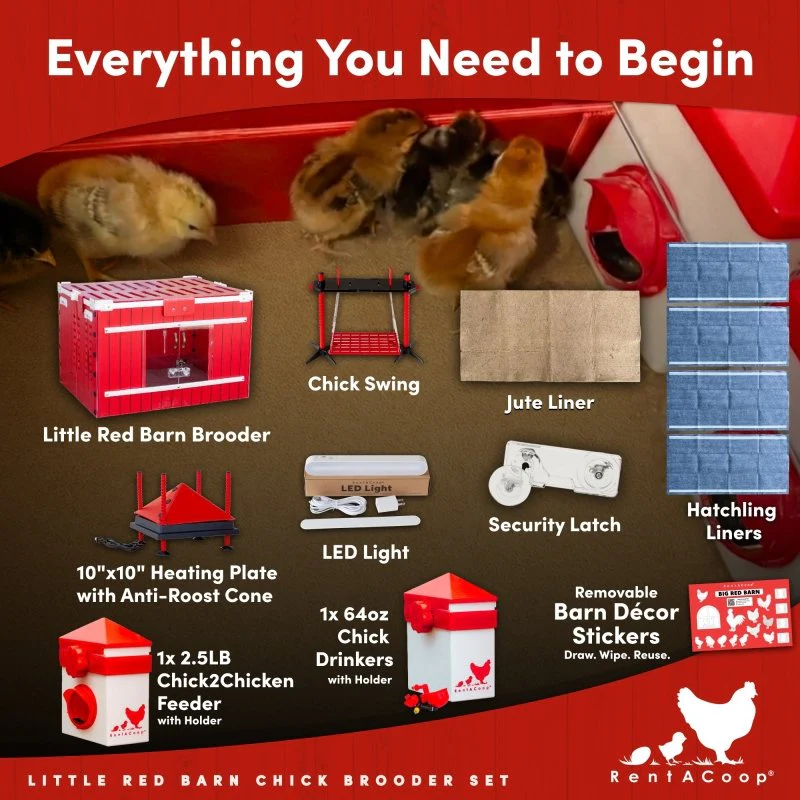 RentACoop Little Red Barn Chick Brooder Set - Image 5