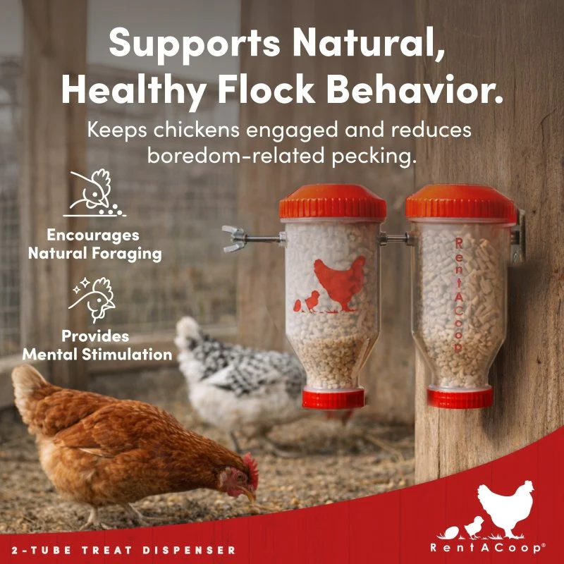 RentACoop Small Chicken Treat Dispenser - Image 8