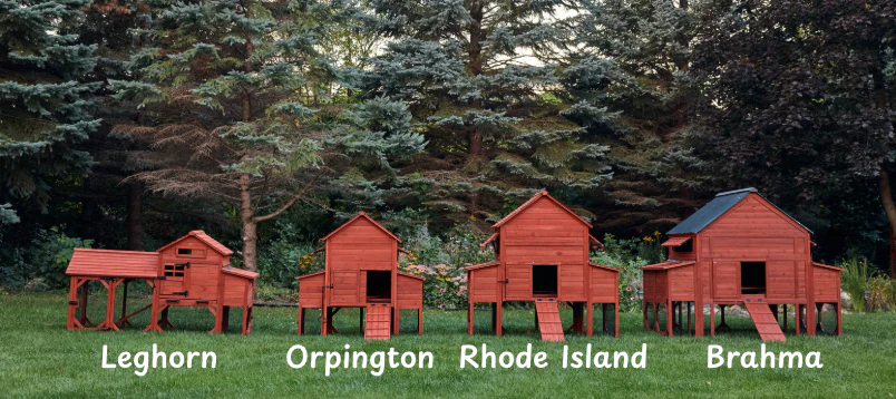 BUNDLE: Leghorn Chicken Coop + Run Extension + Run Roof - Image 13