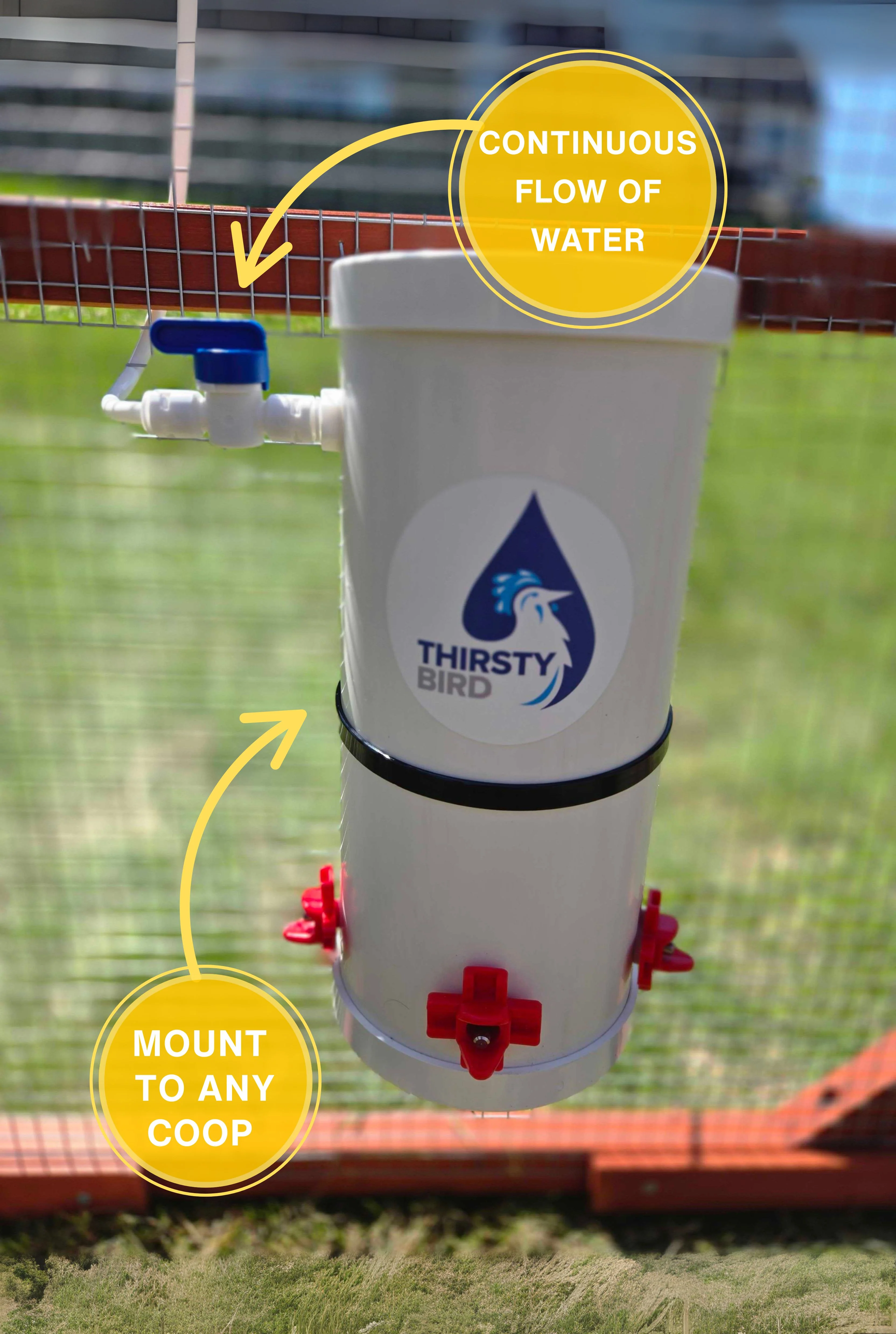 Thirsty Bird Continuous Chicken Waterer - Image 2